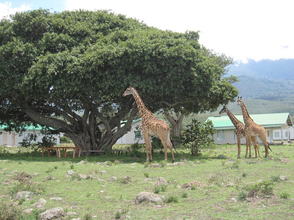 Nature Homes - Africa Amini Life Nkoanrua エクステリア 写真