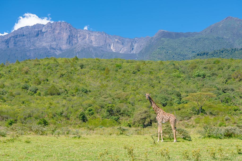 Nature Homes - Africa Amini Life Nkoanrua エクステリア 写真