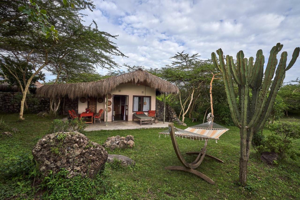 Nature Homes - Africa Amini Life Nkoanrua 部屋 写真